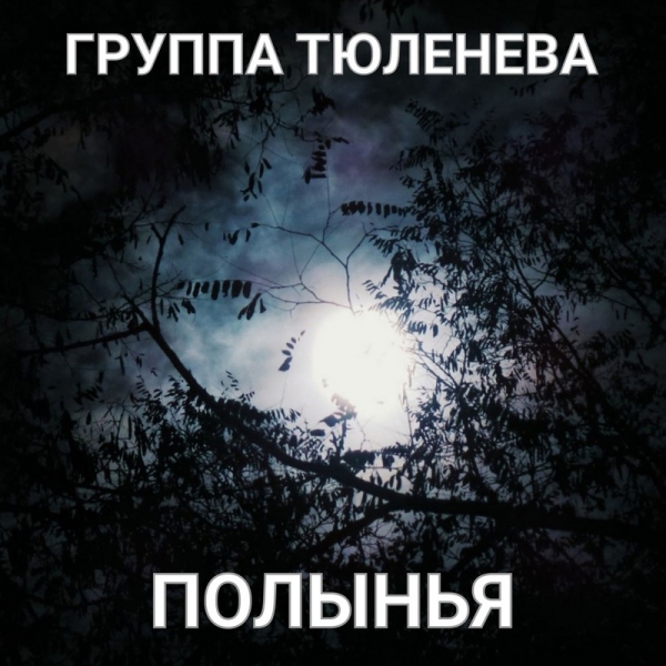 
				Кому нужна «Полынья» сентябрьского неба? Разбираемся с «Группой Тюленева»			